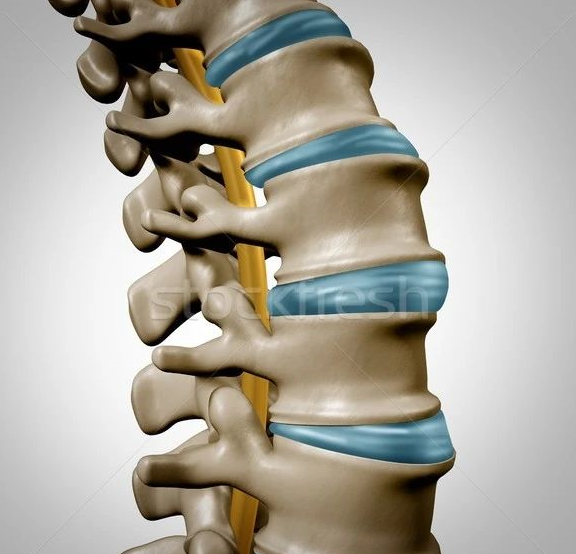 人老了就变矮是怎么回事?不注意可能引起大问题!