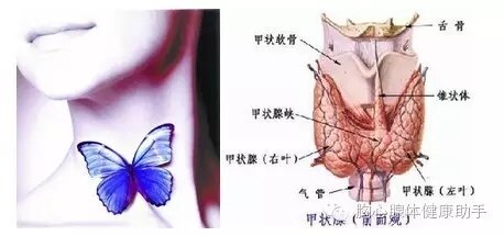 暂无