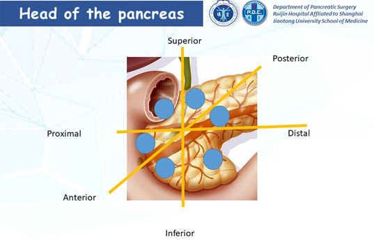 1594821371533544.png image.png