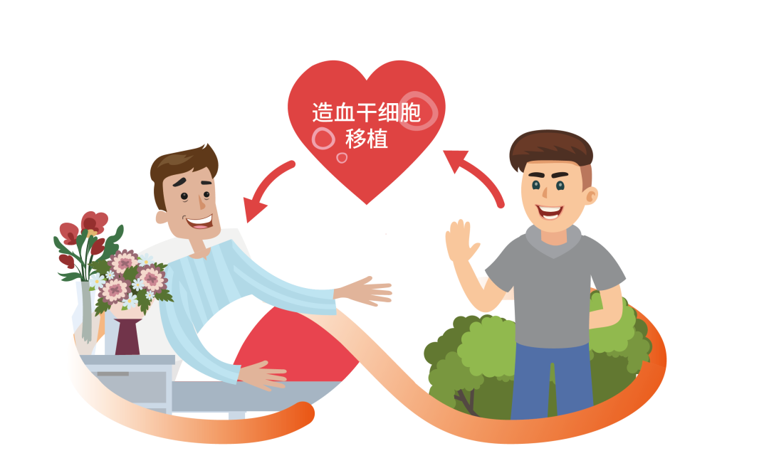 揭开再生障碍性贫血的神秘面纱:最新科学研究进展