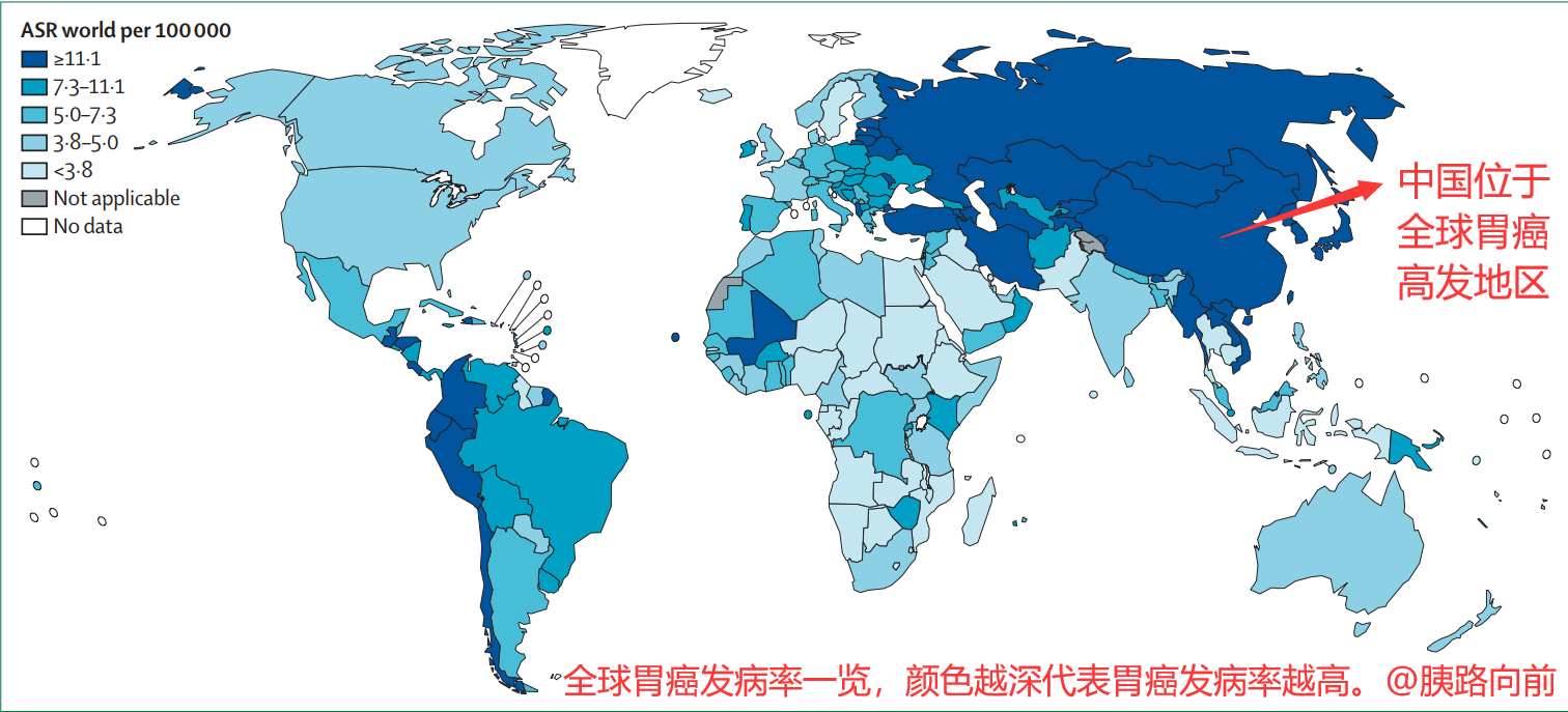 海海給您講述胃癌科普小知識