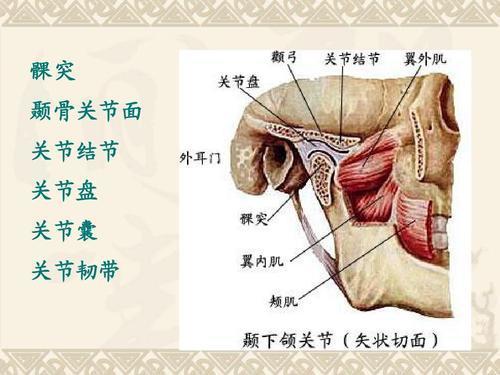 圖文圖片