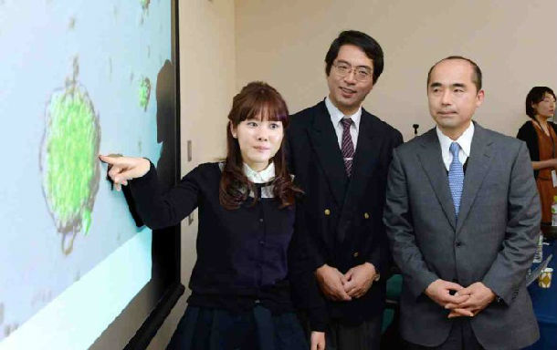 世界著名的细胞再生学专家笹井芳树死了,是在自己办公室的走廊里上吊