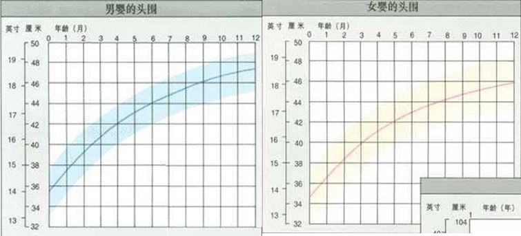 中国宝宝的头围标准和正确测量_儿童保健_儿童保健日常护理 - 好大夫在线