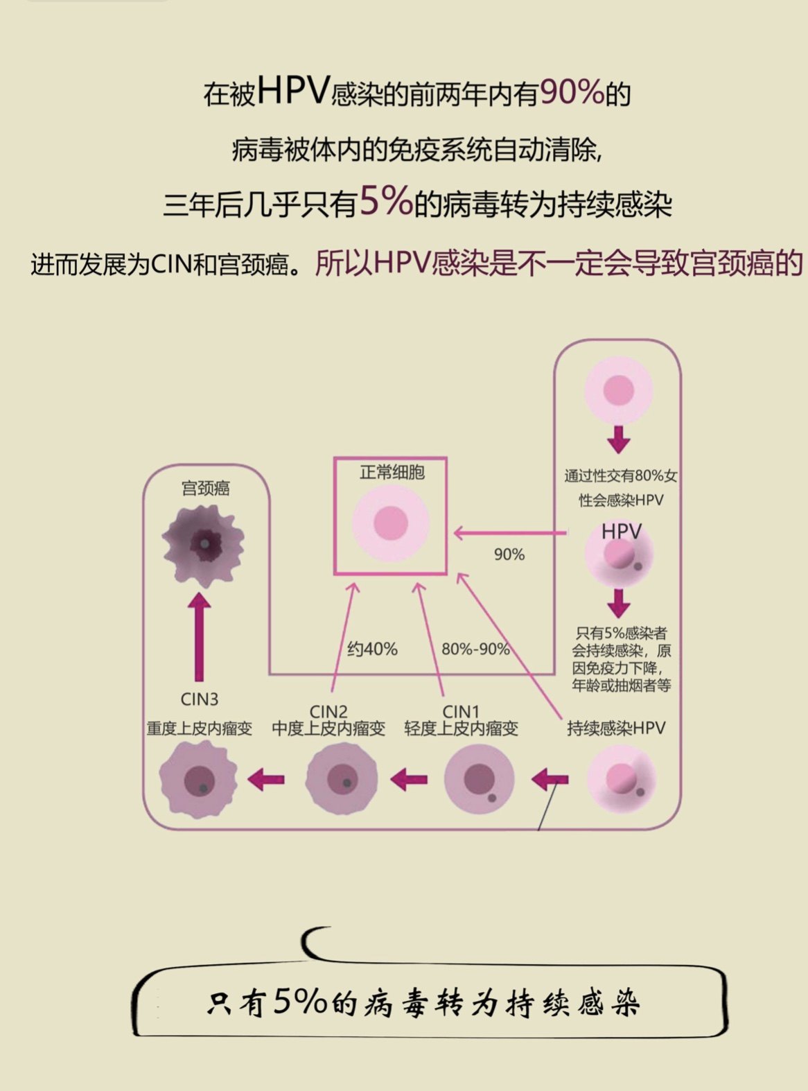 HPV是怎么感染的图片