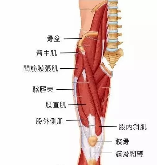 新站百度收录越来越难_新站百度一直不收录_收录百度新站的网站