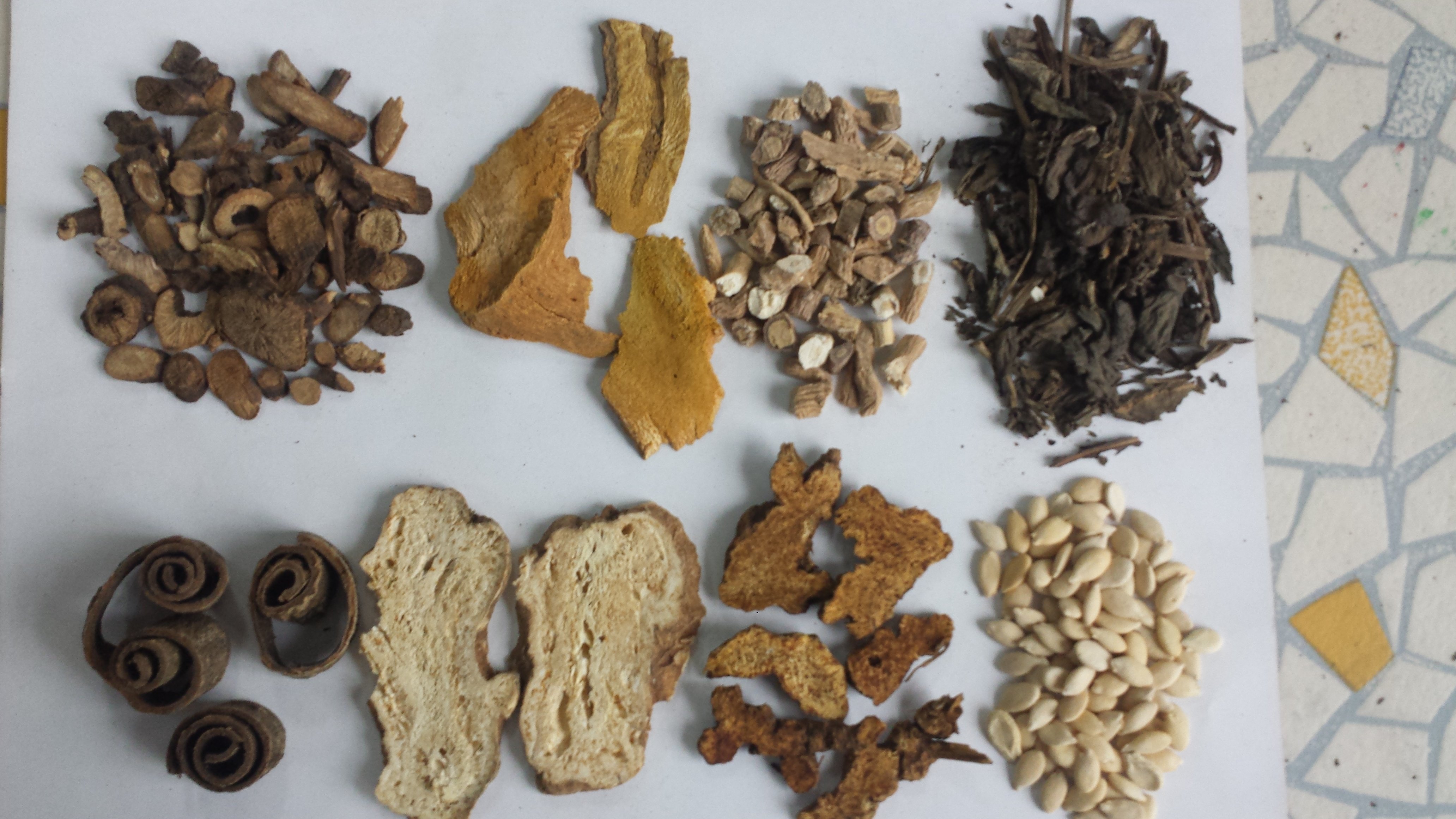 中药辨识练习(17) - 好大夫在线