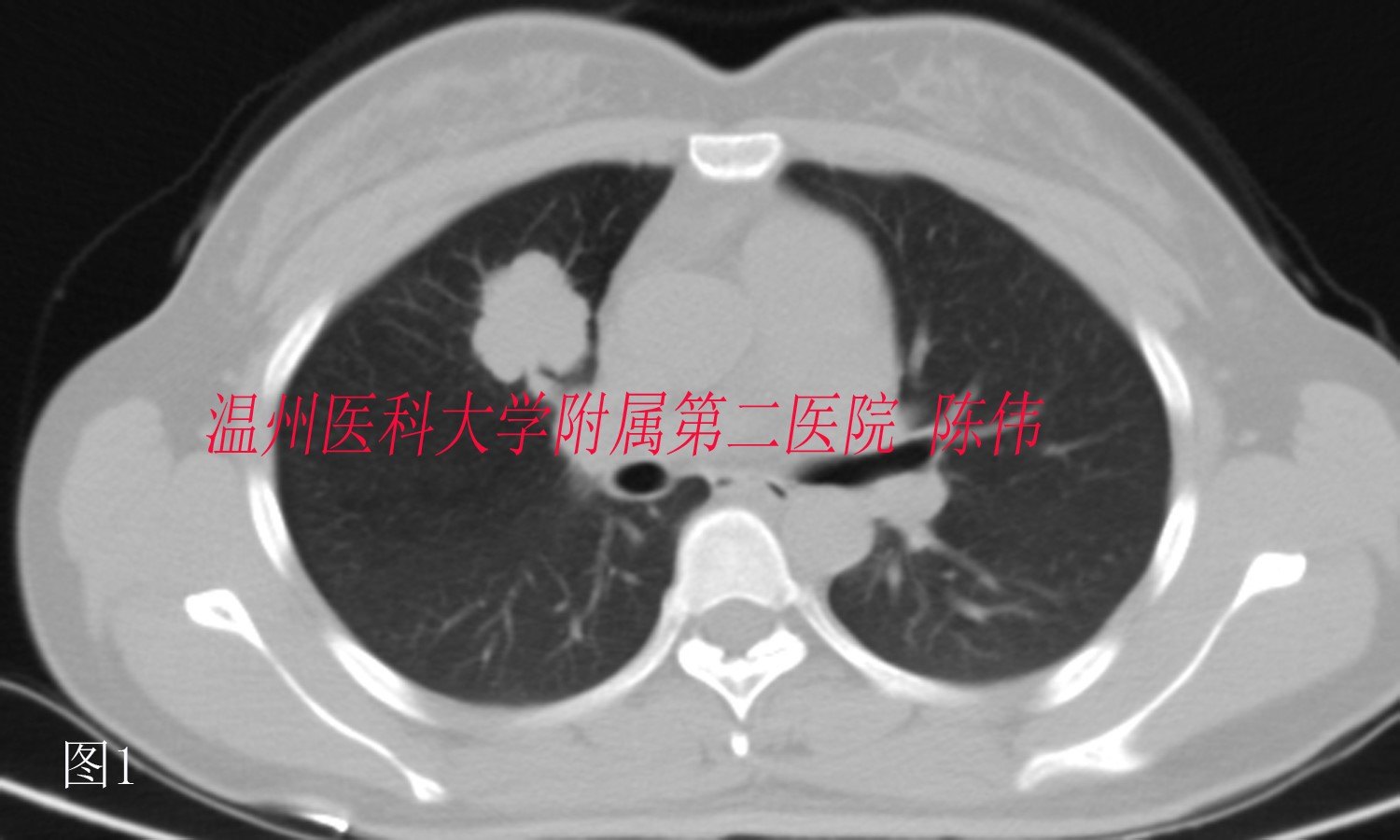 22副本副本.jpg