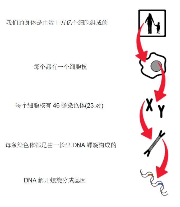好大夫在线