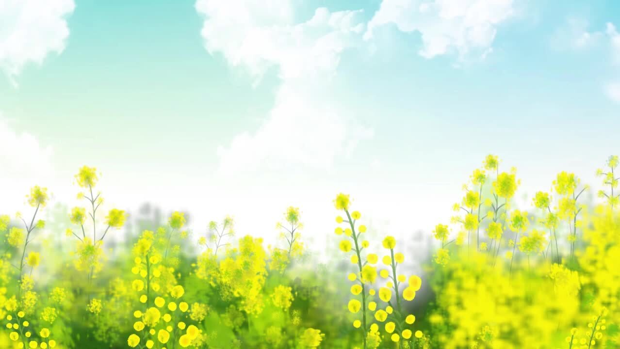 視頻封面