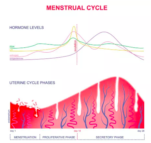 1573785931642429.png 屏幕快照 2019-11-15 10.45.21.png