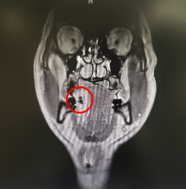 1578981803432103.png 000.png