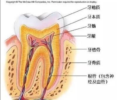 圖文圖片
