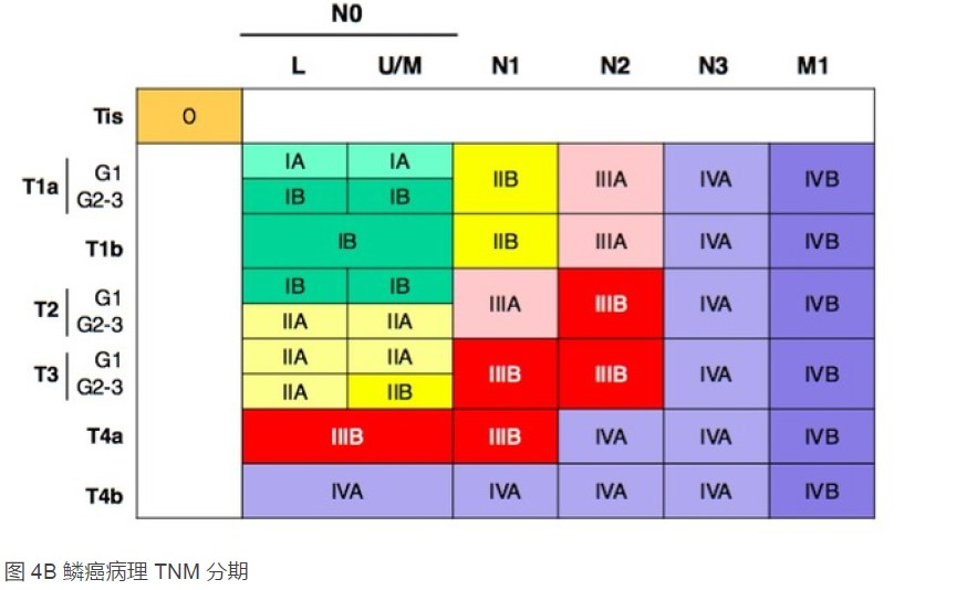 鳞状细胞癌的TNM分期