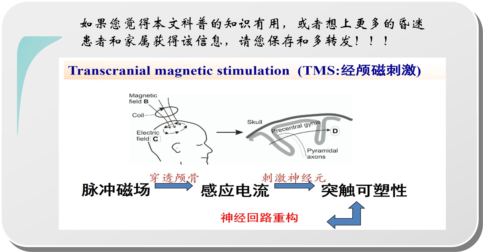 2昏迷植物人促醒最新治疗技术高频重复经颅磁刺激