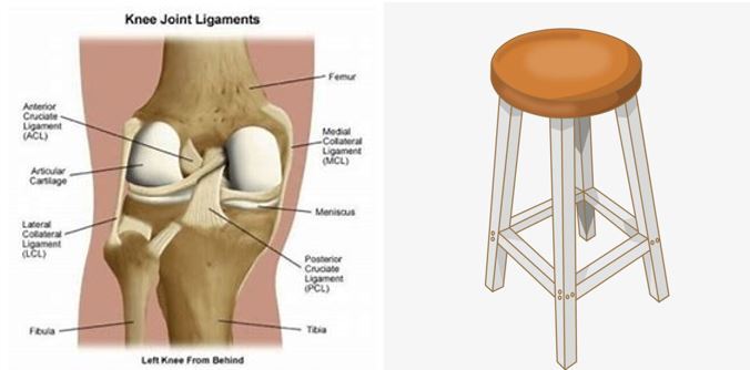 chair and L of knee.JPG