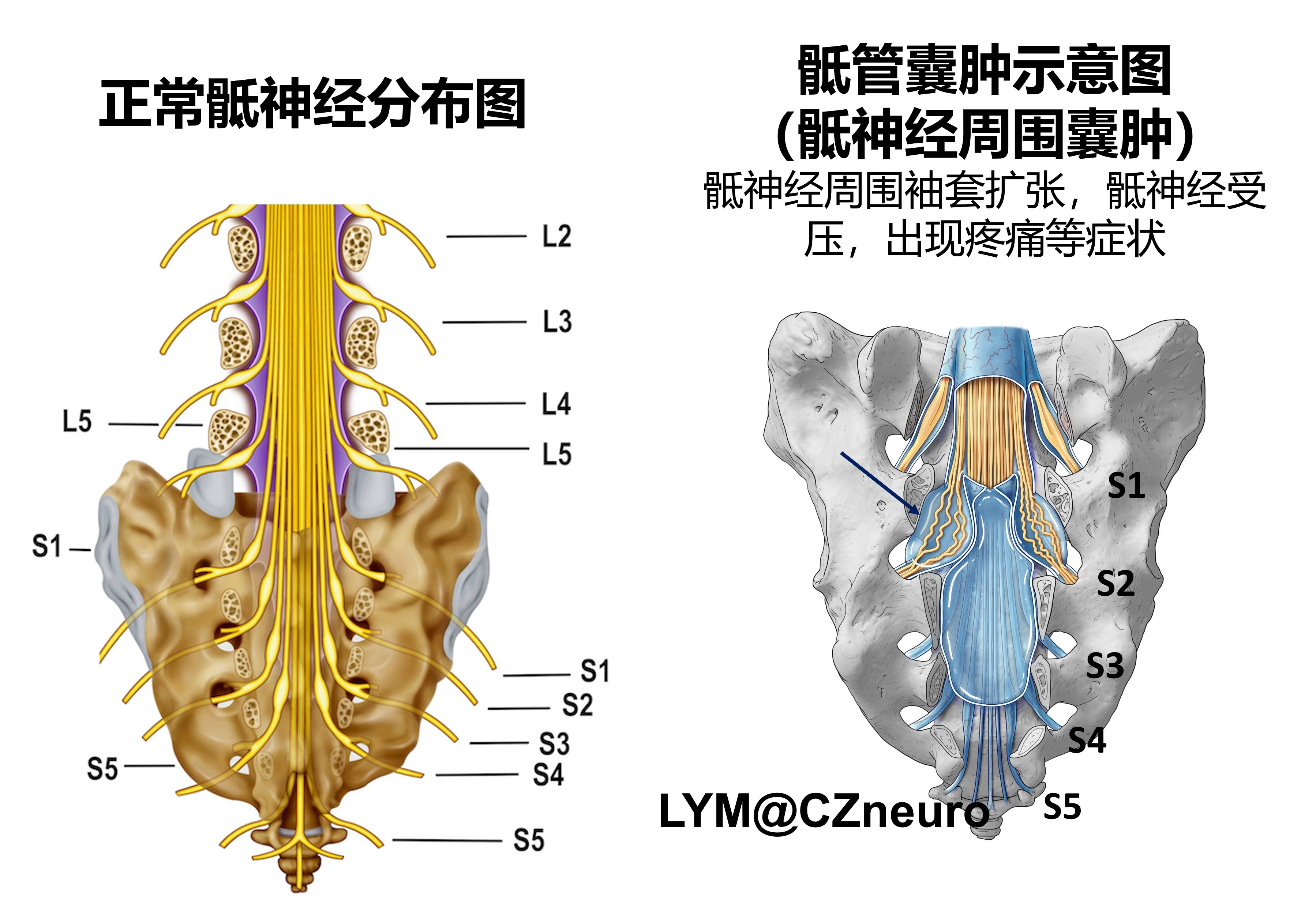 圖文圖片