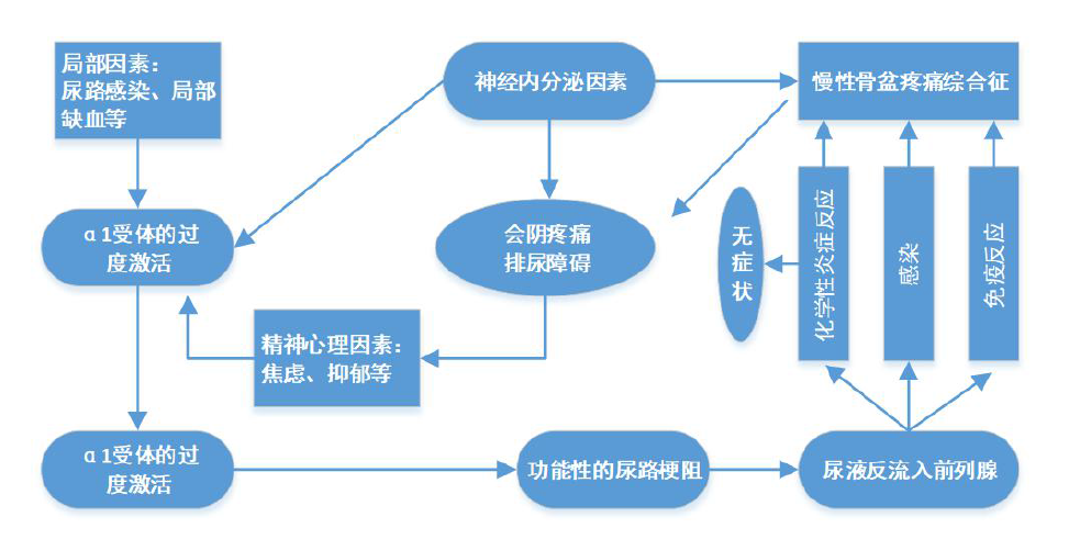 男人需要警惕的疾病 慢性骨盆疼痛综合征 疼痛 好大夫在线