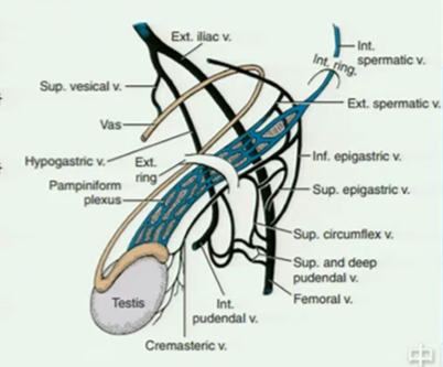 mmexport1610775619807.jpg