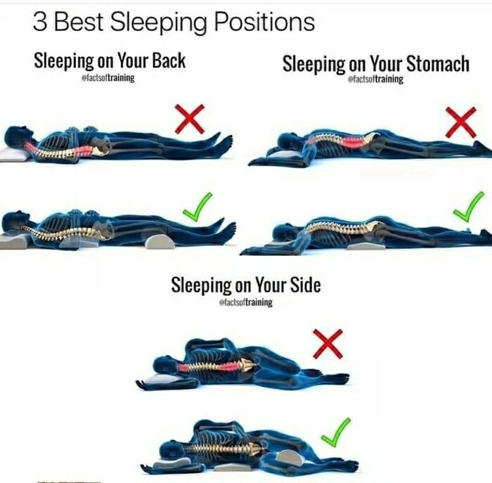 保护腰椎睡姿图图片
