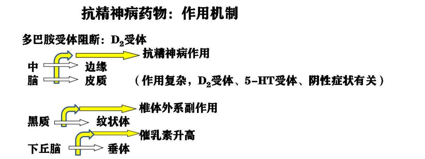 红景天的作用及疗效_红景天的功效与作用及食用方法_红景天的药效与作用