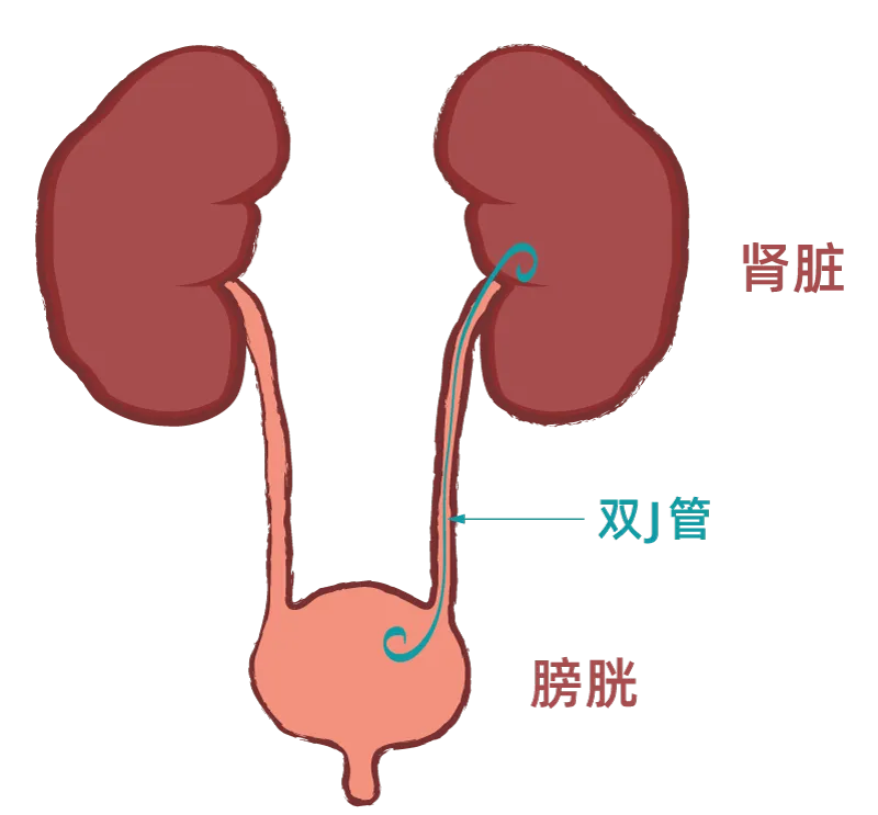 图文图片