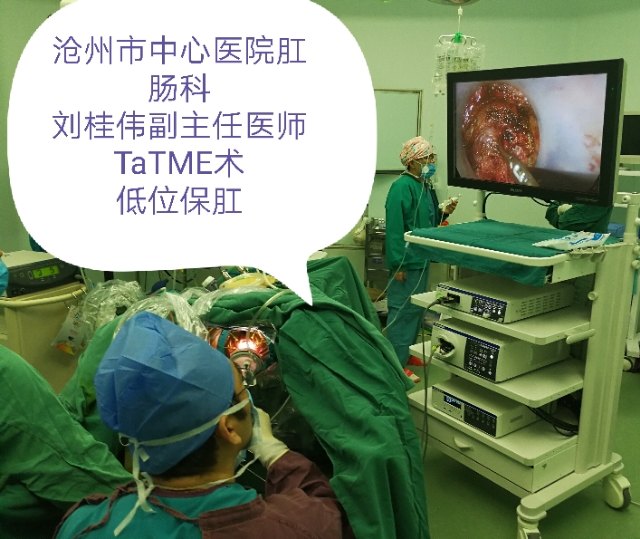 沧州市中心医院结直肠肛门外科疾病治疗中心 - 好大夫在线