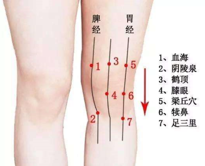 膝关节穿刺点定位图图片