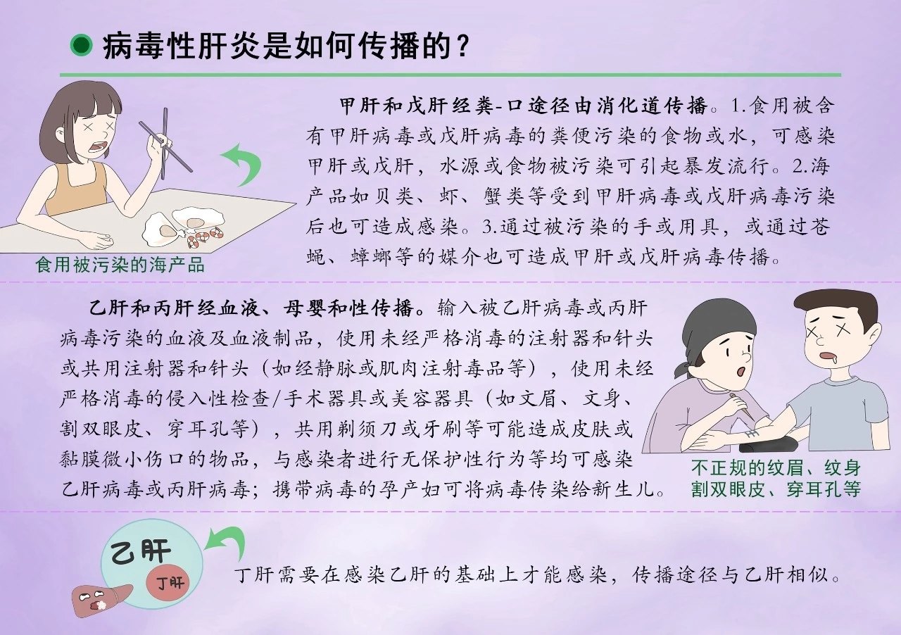 治疗肝结石最好方法_肝片形吸虫和姜片吸虫_肝吸虫的治疗方法有哪些