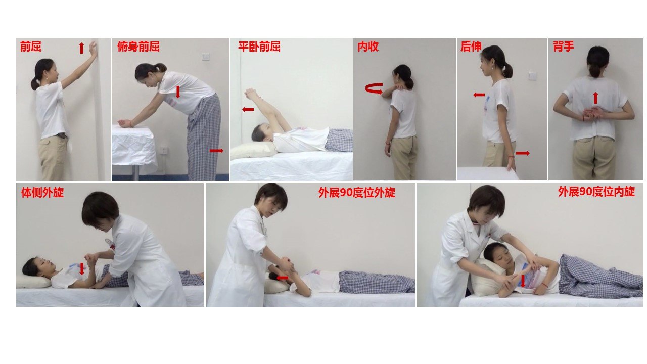 冻结肩六个康复动作,腰椎康复训练动作图,腰椎康复动作(第4页)_大山谷图库