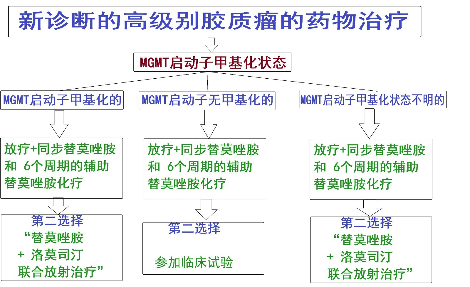 胶质母细胞瘤的药物治疗小.jpg