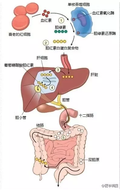 QQ截图1.png