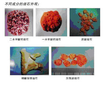 暂无