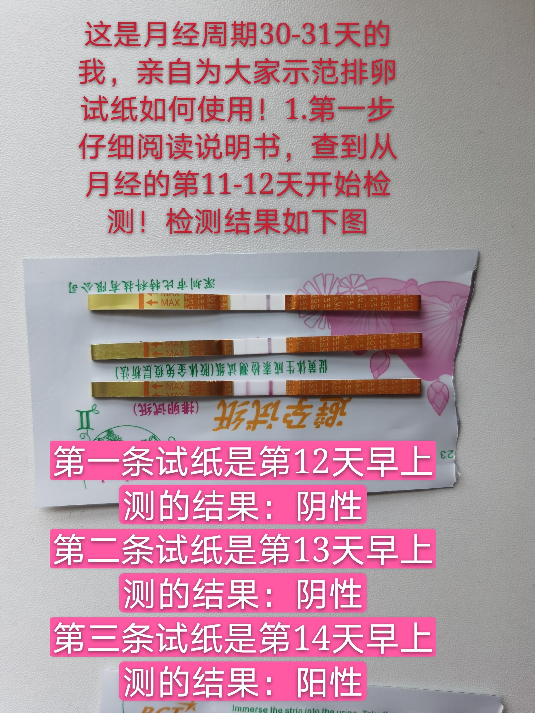 如何使用排卵试纸检测排卵日