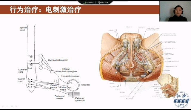 默认图片