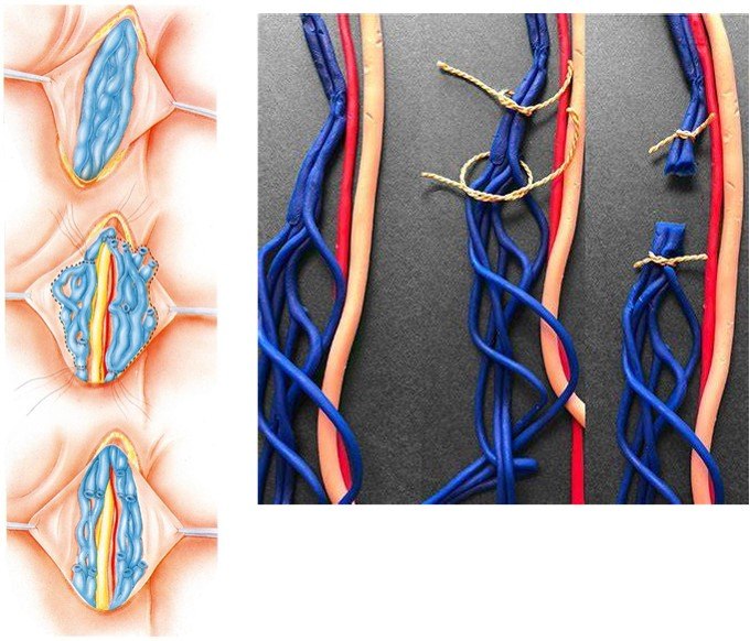1590504812421531.jpg 图片4.jpg