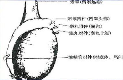圖文圖片