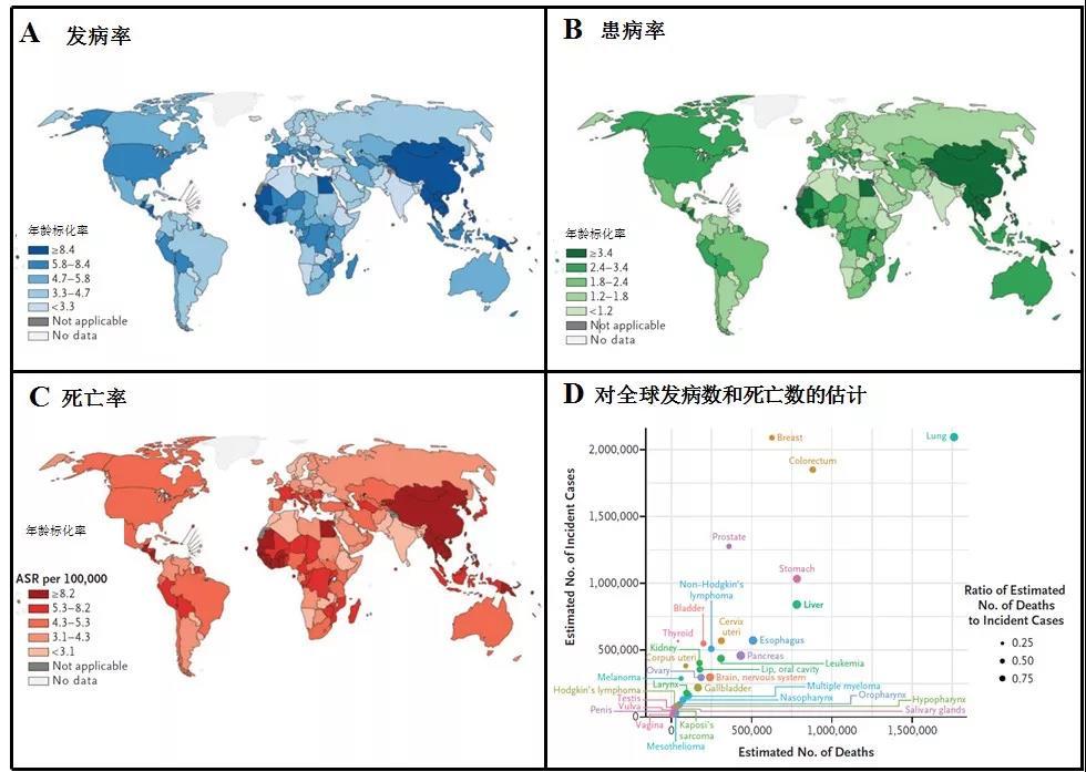 breast乳房,cervix uteri子宫颈,colorectum结直肠,corpus uteri子宫