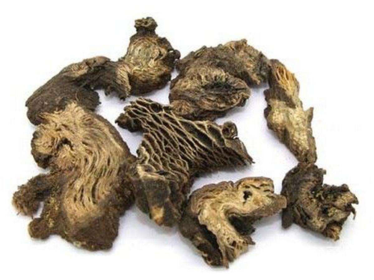 中药小故事—升麻 - 好大夫在线