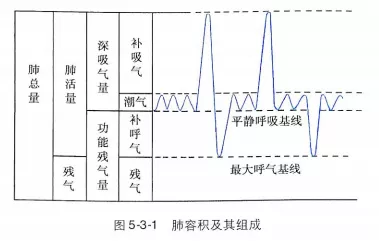肺容积--通气功能检查 - 好大夫在线