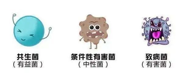 圖文圖片