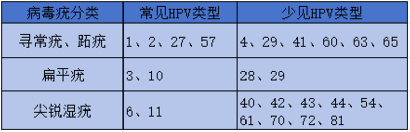 图文图片