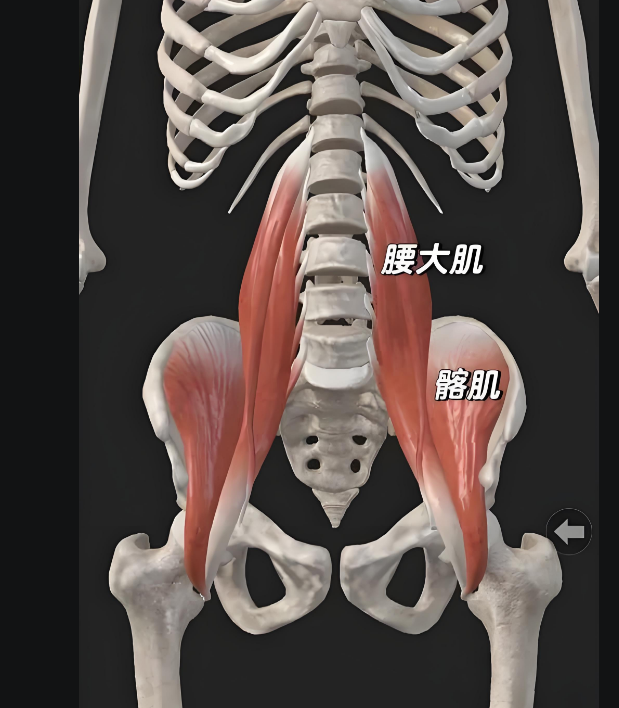 圖片2.png