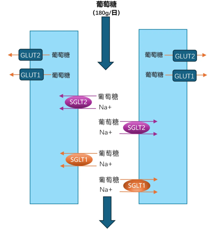 圖文圖片
