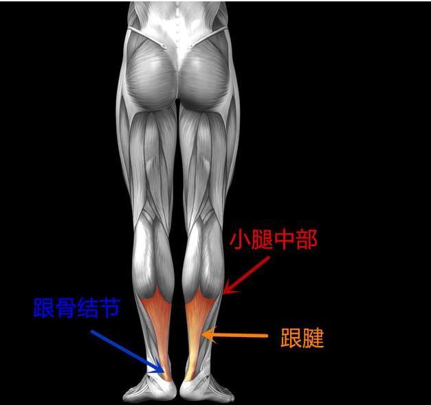 跟腱断裂需要做哪些检查怎么治疗