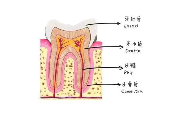 微信图片_20201013113224.png