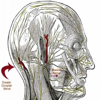 耳颞神经痛的诊断和治疗