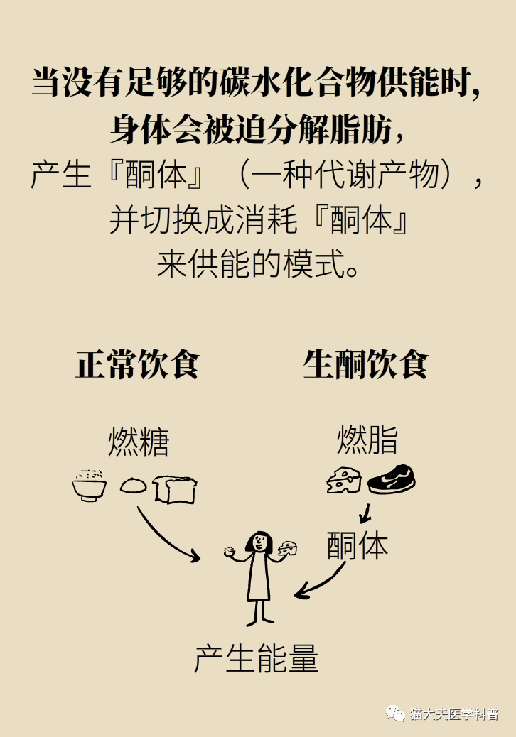 了解一下生酮饮食_肥胖症 - 好大夫在线