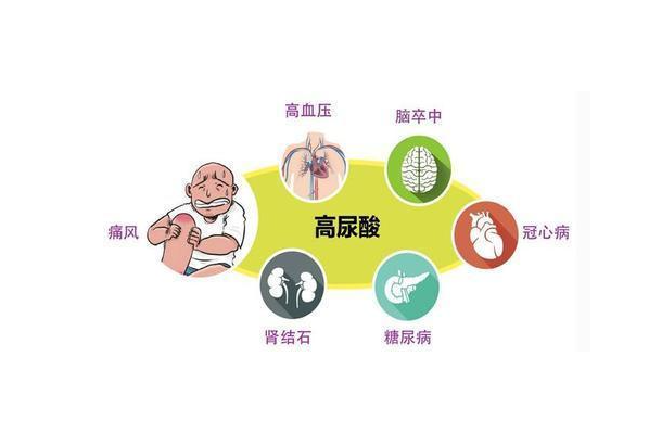 尿酸超标,不痛,也没有任何症状,可以不管吗?