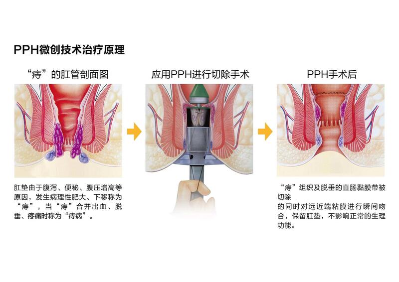 微信图片_20230306072231.jpg